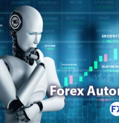 Forex Automation