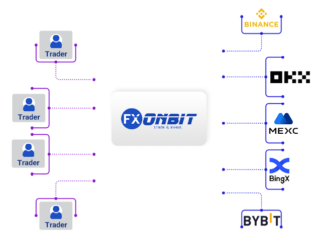 FXonbit Trading Robot