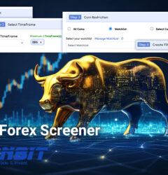 Best Forex Screener