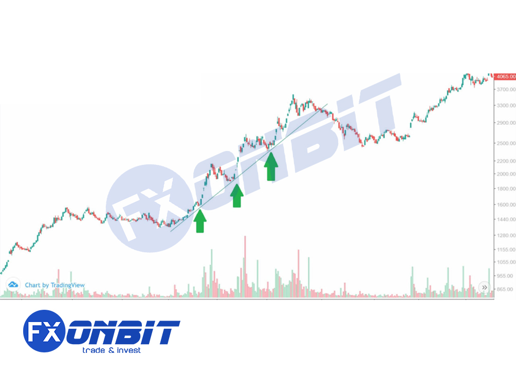 Support & Resistance Line