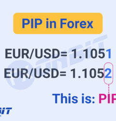 Forex pip in trading