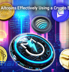 Analyze Altcoins Effectively Using a Crypto Screener