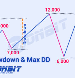 Drawdown and Maximum Drawdown in Forex