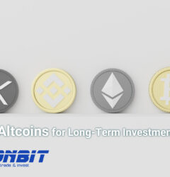 Top Altcoins for Long-Term Investment
