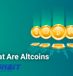 What Are Altcoins