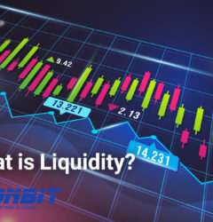 What is Liquidity