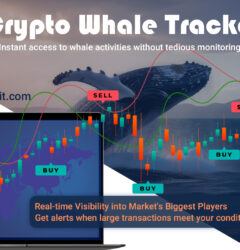 what is Crypto Whale Tracker