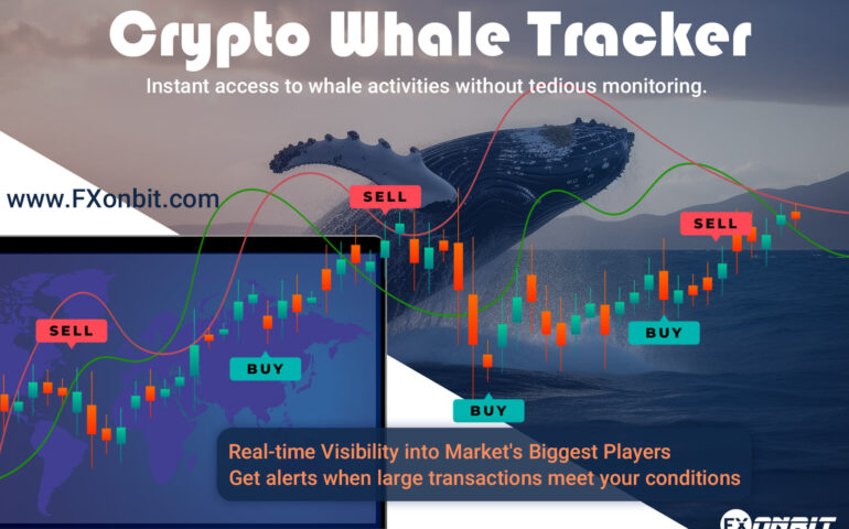 what is Crypto Whale Tracker