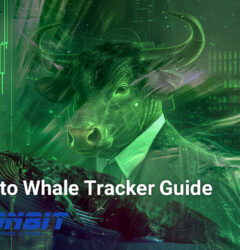 Crypto Whale Tracker Guide