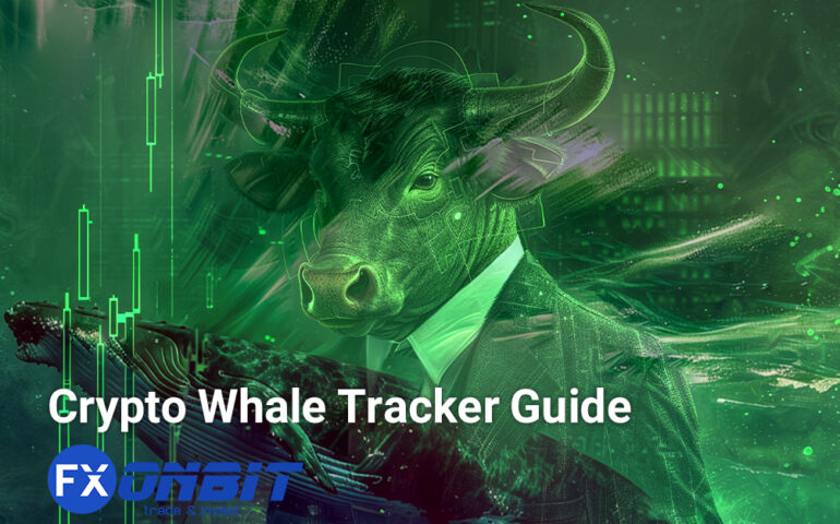 Crypto Whale Tracker Guide