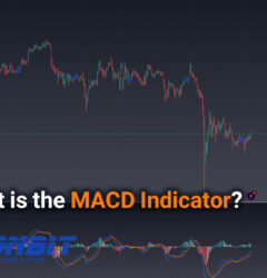 What is the MACD Indicator